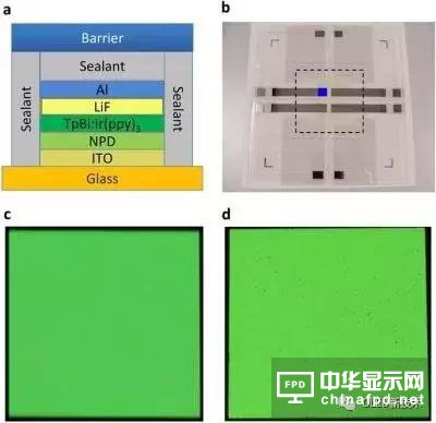 ʯīϩ������������������OLED���b