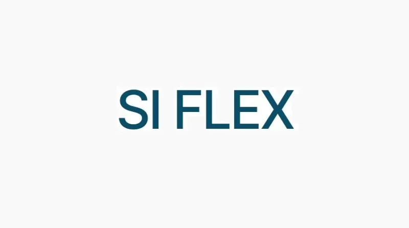 永豐電子因質量問題被踢出蘋果供應鏈！SI Flex 接棒為 iPhone 16 提供 RFPCB