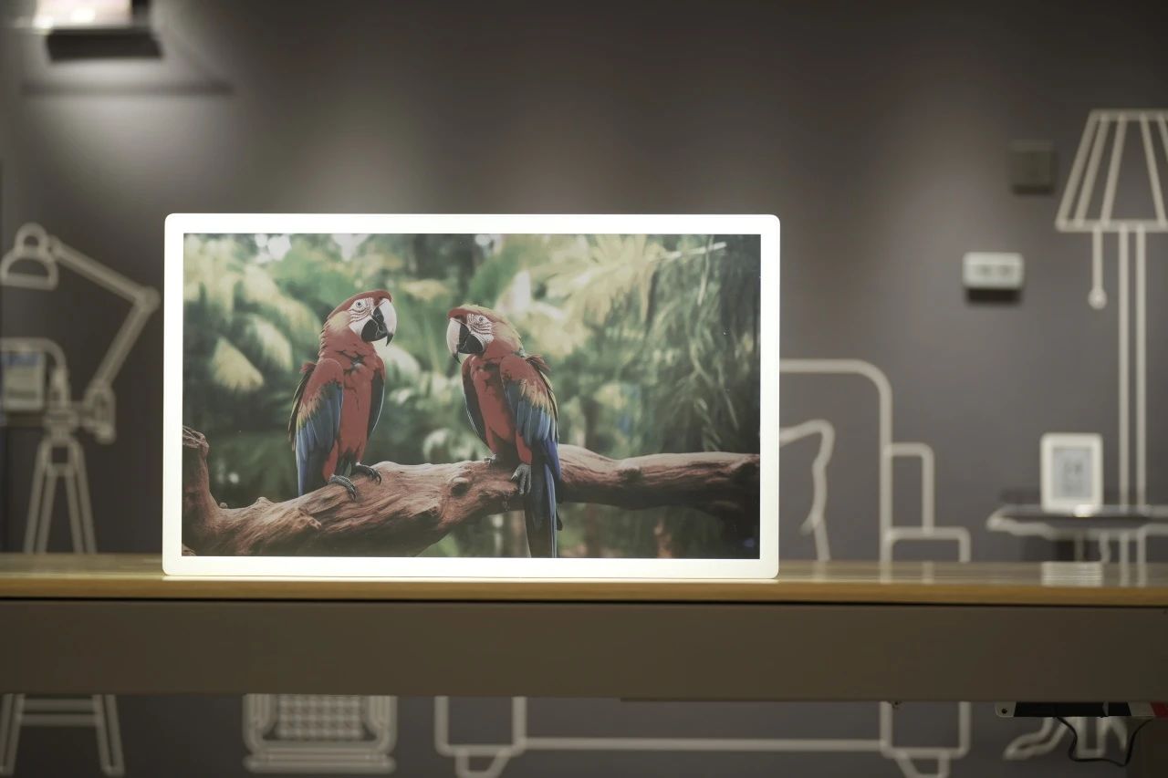 奧翼發(fā)布全球首款30寸以上視頻電子紙顯示屏