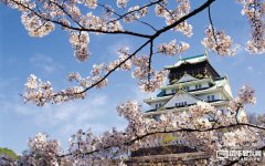 智能手機增量空間這么大，國產手機廠商為什么還攻不下日本？