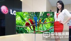 OLED前景無限 行業(yè)有哪些機(jī)會(huì)