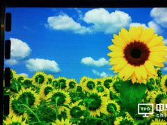 維信諾成功點亮4.3寸AMOLED顯示屏