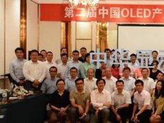 2014��ڶ����Ї�OLED�a�I�lչՓ���߲�ԭ�ە���a�I���m�lչ̽·