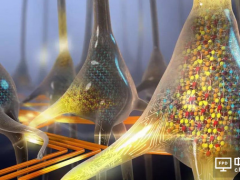 IBM發明世界首個人造神經元，人工智能的底層硬件基石已完成！