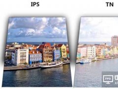 廣視角的天下 TN面板為何仍未消亡？