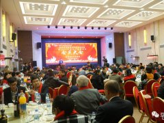 辭舊迎新 &ldquo;深圳市平板顯示行業(yè)協(xié)會年會暨2017年顯示產(chǎn)業(yè)春茗會