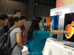 內存、面板價格上揚 至上今年業績成長動能強勁