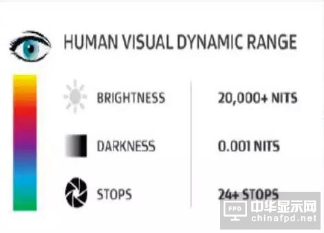 路線解讀 2017年IT顯示面板路在何方？