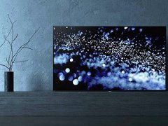 LG做的是OLED屏，索尼做的才是OLED電視