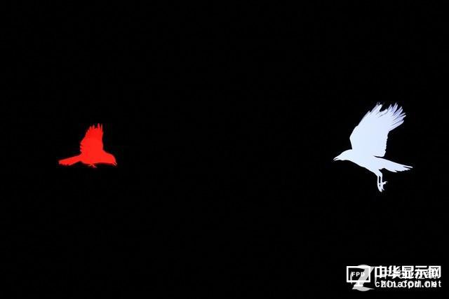 索尼斬殺LG?兩款高端OLED電視對比評測