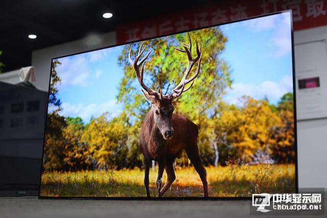 索尼斬殺LG?兩款高端OLED電視對比評測
