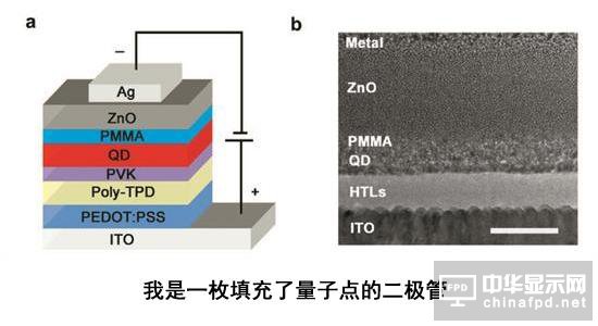 國產造出秒AMOLED的QLED：跟OLED有和區別？