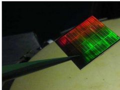 ���Բ��������΢̎�������� Ԫ��Ҳ���ԏ�����