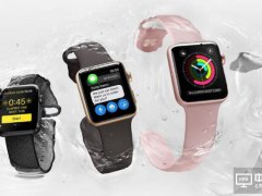 郭明錤表示:LTE版蘋果手表雖內置eSIM 但不具備打電話功能