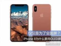全面屏風靡的時代  蘋果iPhone 8一定要采用OLED屏幕的理由