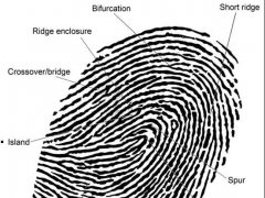 ������ָ�y�R(sh��)�e�����g(sh��)������b����ˇ���̅R��