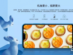 華為首款5.84英寸notch全面屏手機采用天馬屏